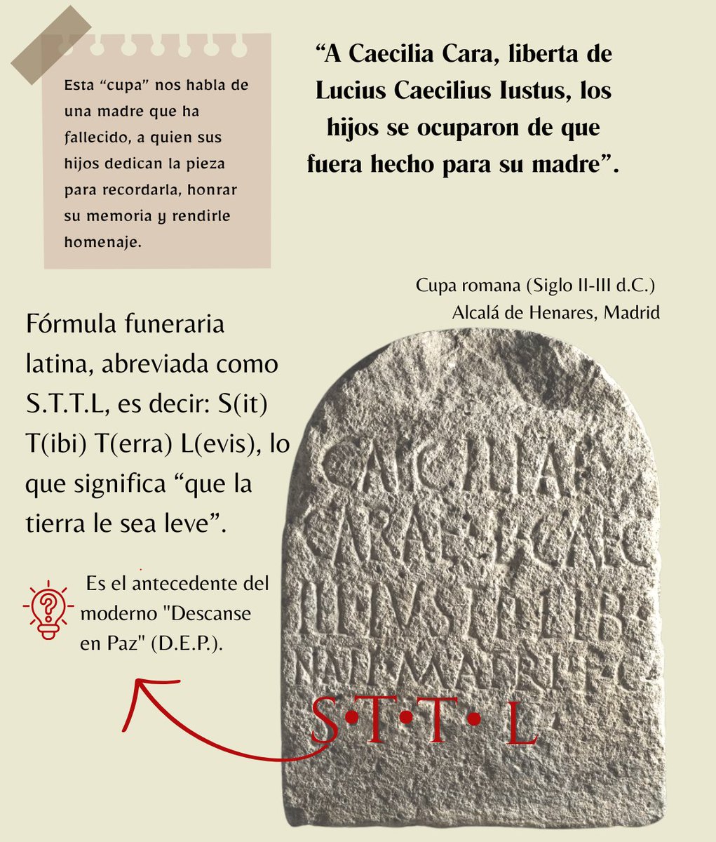 Museo Arqueológico Nacional tweet media