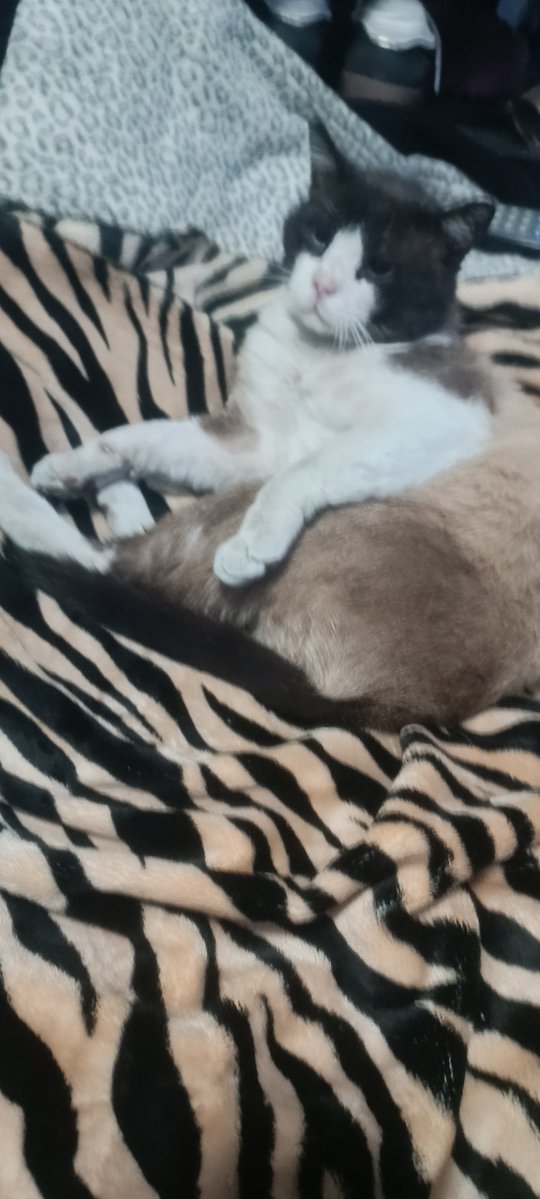 sad michi 🏴 tweet media