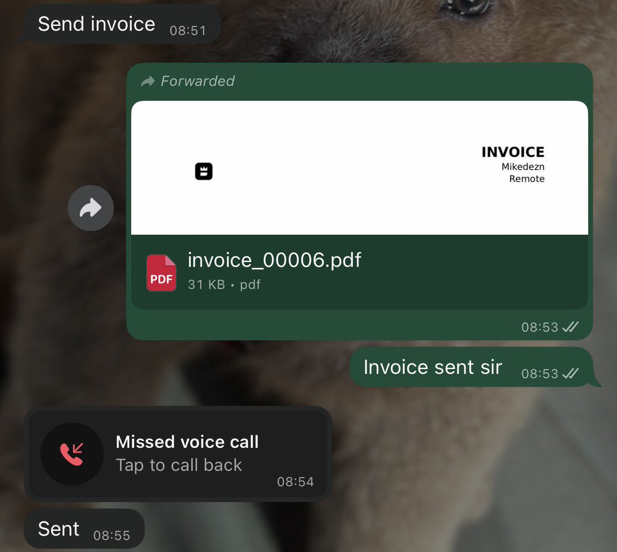 <a href="/AvaSuite/">Ava Suite</a> has been saving my invoicing life since 02 😭
I send clean, professional invoices to international clients and get paid without drama.