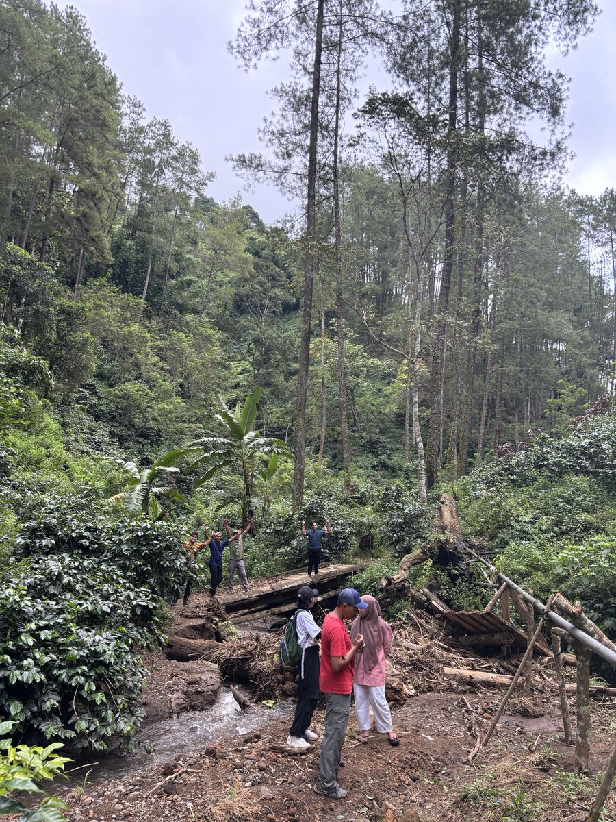 Levina at Dimitra tweet media