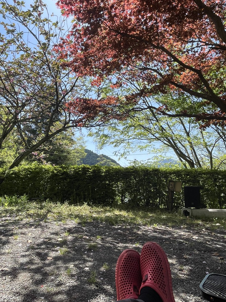bovy_hobby's tweet photo. 紅葉狩り🍁 https://t.co/3suz9eCvPc