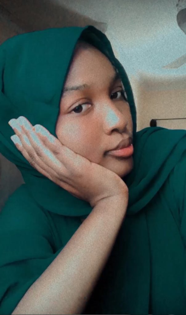 update hub tweet media