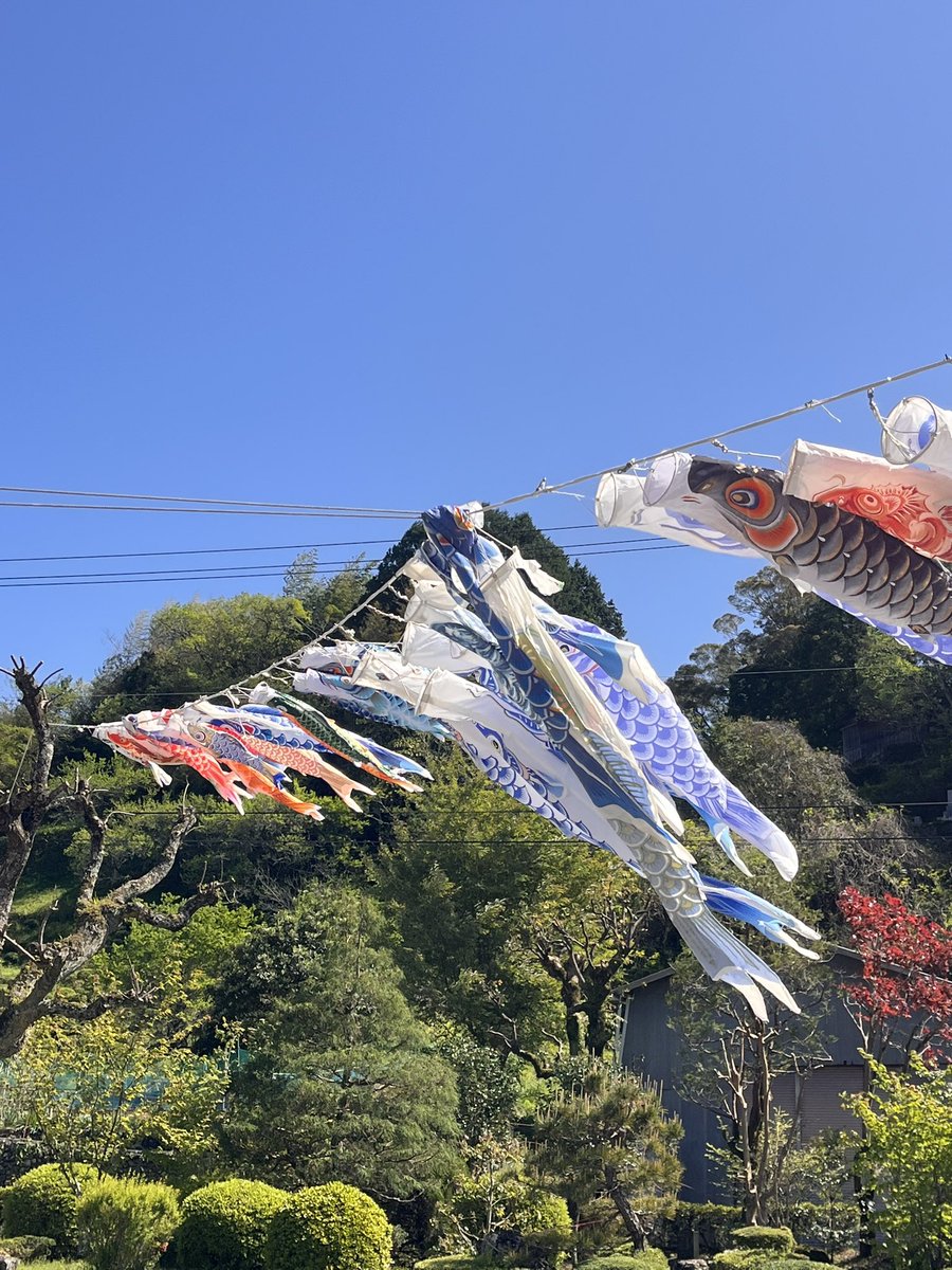 kafukajp's tweet photo. 【選挙を終えて　雑感】

今回の選挙結果、そして投票率を2022年と比較すると、著しい低下に強い危機感を抱いています。
この現実は、市民の政治離れというよりも、私たち議会の「伝える力」の不足ではないか——そう受け止めています。

議会で何が議論され、どんな決定がなされているのか。
それが十分に届いていないのであれば、責任は議会側にあります。

市民と市政の距離を、もっと近くへ。
わかりやすく、届く言葉で伝えること。
直接対話の場を増やすこと。
日常の中で政治を感じられる仕組みをつくること。

その具体策を、自ら模索し、提案し、実行していきます。

「今を生きる者として、将来に責任を持つ選択を。」
この原点に立ち返り、議会の在り方そのものを問い直していきます。

今朝は佐古小学校のあいさつ運動に参加しました。

4月の子どもたちは登校も早く、いつも以上に元気な様子が印象的でした。保育園の先生方も参加してくださり、新一年生に優しく声をかけてくださっています。

地域全体で子どもたちを見守る温かい雰囲気に、こちらも自然と気合いが入る朝となりました。
