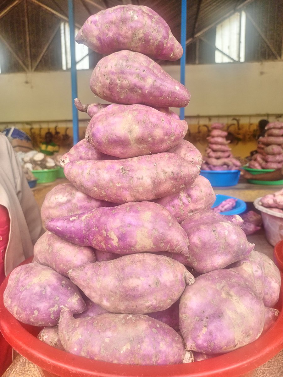N_SmartFarmer's tweet image. How much based on your region ?

#sweetpotatoes