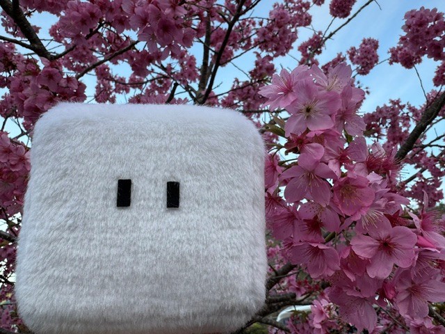 my daiz/ひつじのしつじくん (@hshitsujikun) / Posts / X
