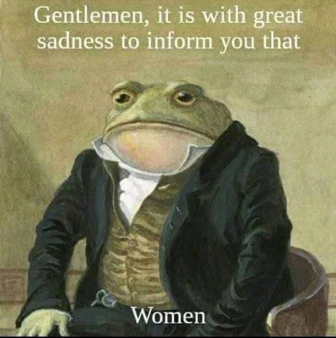 dogwarrior tweet media