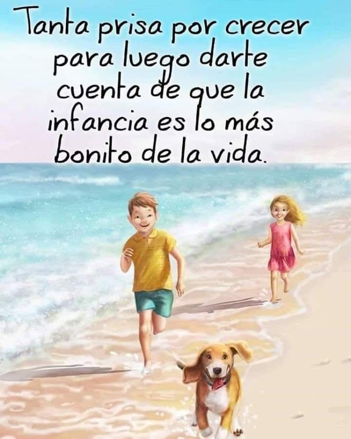 VidaEquilibrada tweet media