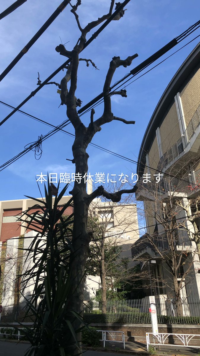 SHOUROUK (@cafeshourouk) on Twitter photo 