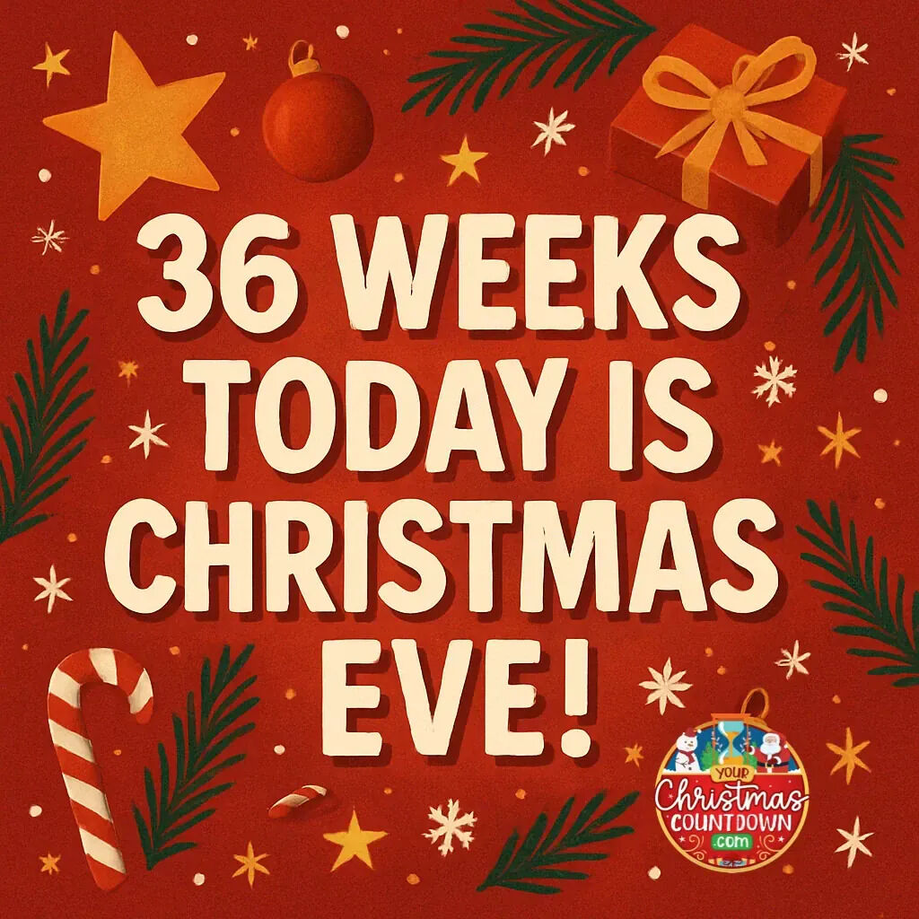 Your Christmas Countdown tweet media