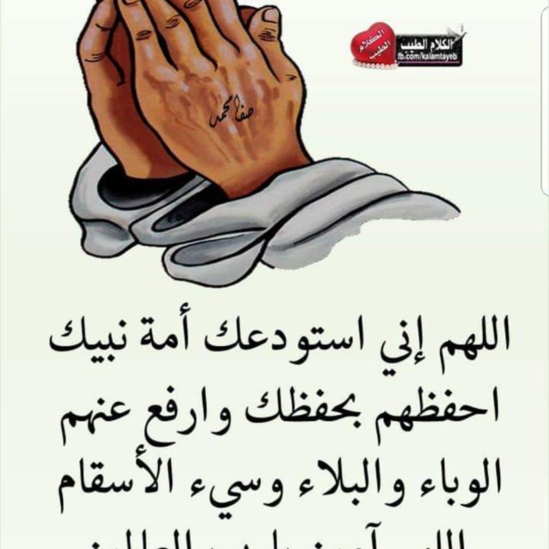 اللهم🤲صب عليناالصحةوالعافيةوالرزق والخيروالمال الوفيرمدرار الذي لاينقطع أبداً ولاتجعل
عيشتناكداًولانكداًوبشرنافي كل ماتأخر انتظاره عاجلاًغيراجلاً
بحولك وقوتك فليس لناحول
ولاقوة
الابالواحدالأحدالفردالصمدالذي
لم يلدولم يلدولم يكن له
كفواأحد🤲
صباح كل شيءجميل بالحياة🤲
#همسه_صباحيه