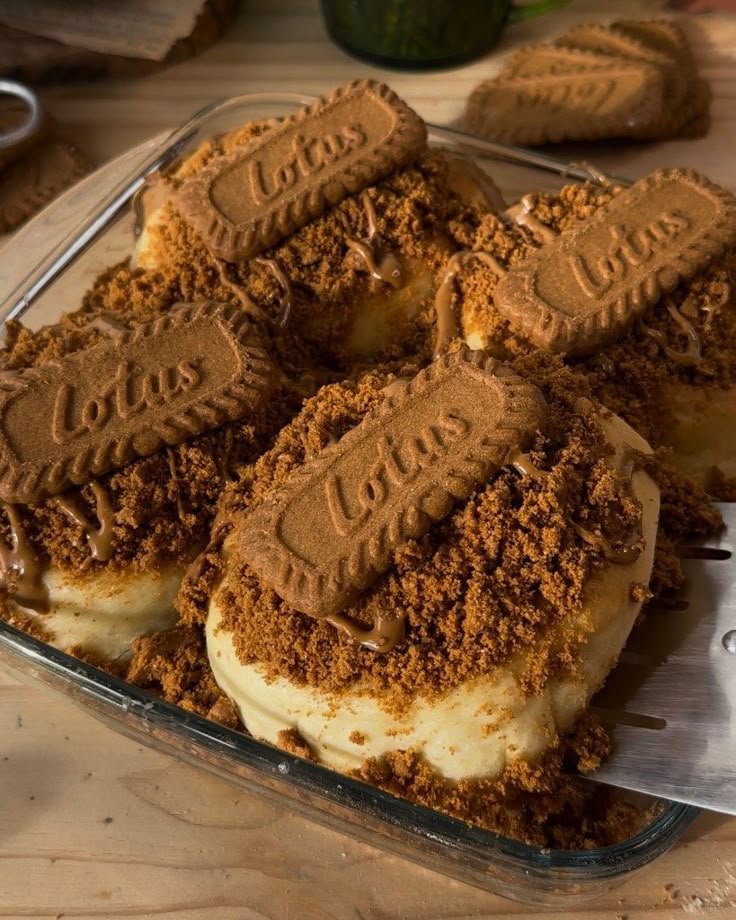 ﹒⌗﹒finnley ⸝⸝ tweet media