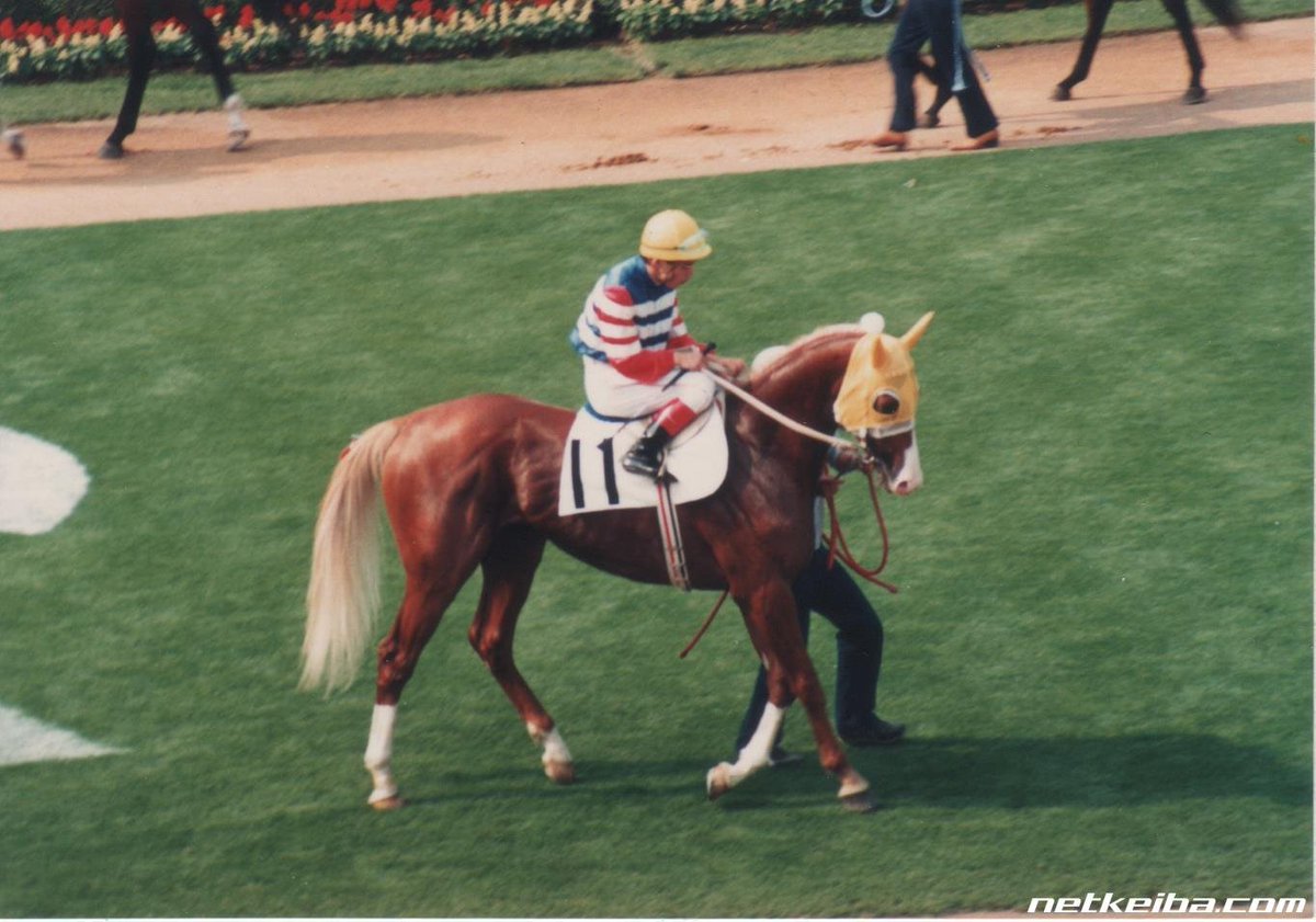 𝑹𝒊𝒏𝒊 • リニ 🐰🍪🐾 tweet media