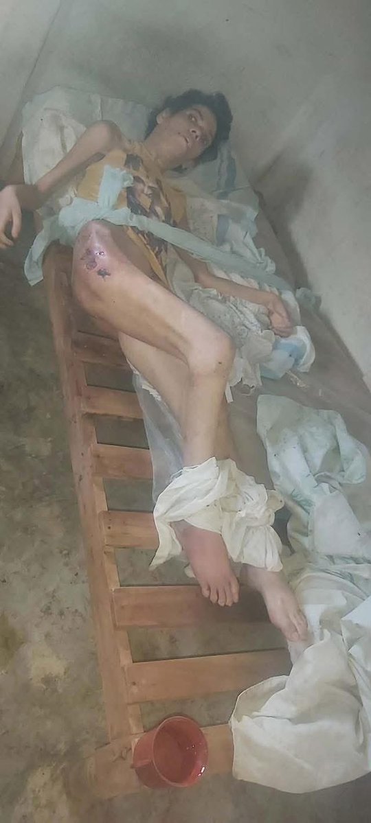 AnaC1940 tweet media