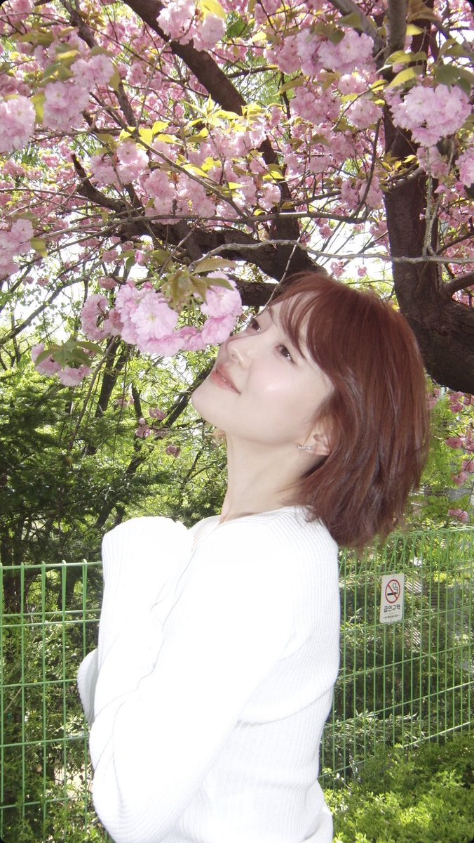 미친 이세영꽃디카사진 옴