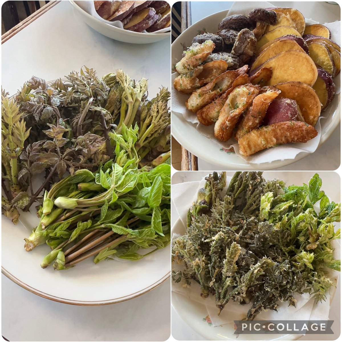 ☀️あきんちょ🌙 tweet media