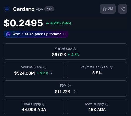 Cardanians (CRDN) tweet media
