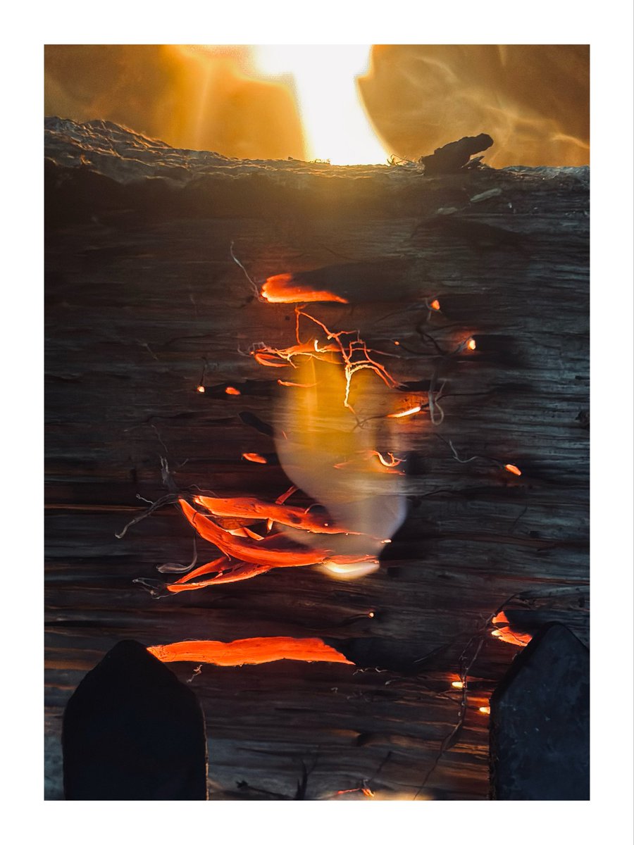 Bill Bisgood 🏴󠁧󠁢󠁷󠁬󠁳󠁿 tweet media