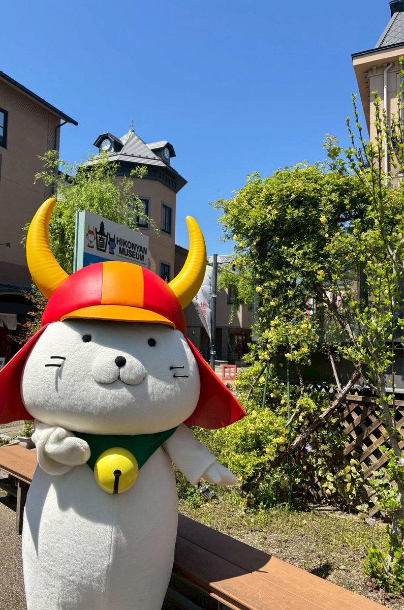 本日 #ひこにゃん 殿は、お客様に #四番町スクエア の楽しみ方を伝授し