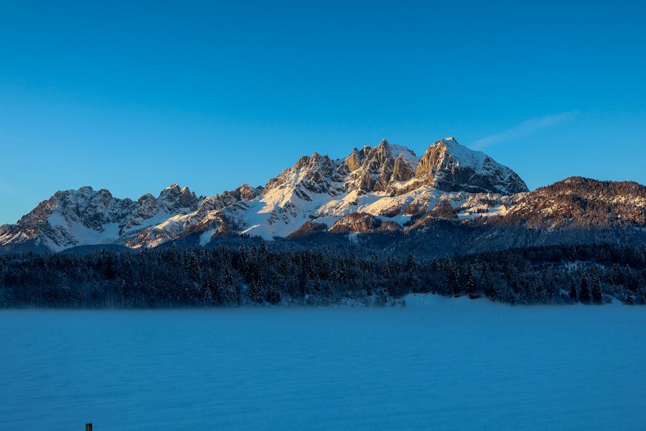 Nicole Hill tweet media