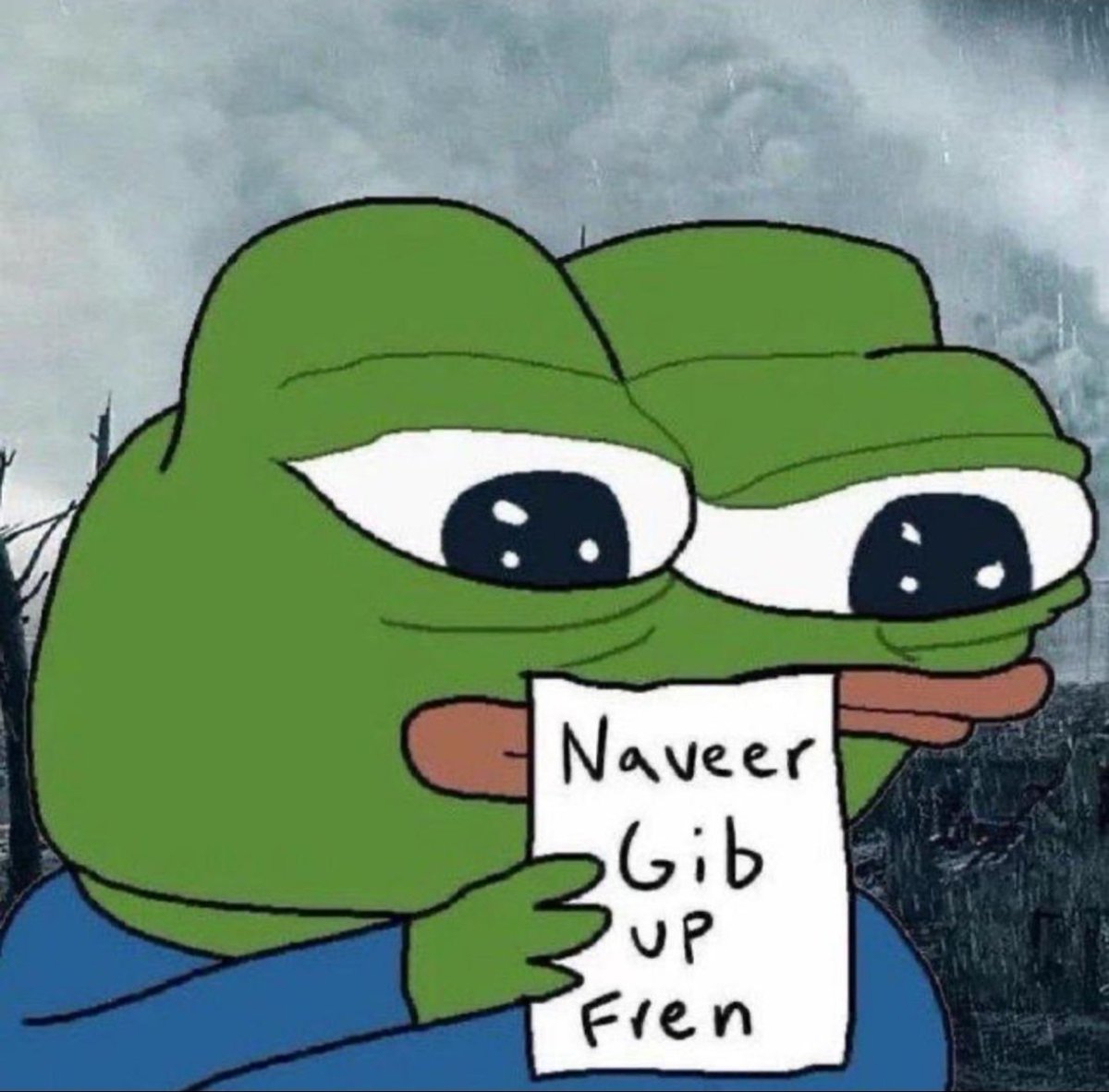 𝙼𝙰𝚈𝙾𝚁 tweet media