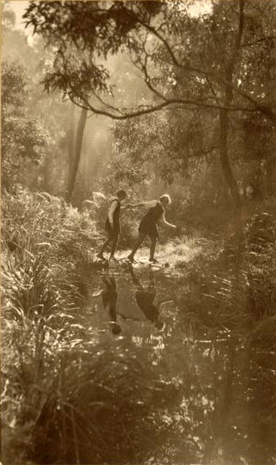 Almost 100 years ago ~ in a patch of sunlight, two schoolgirls cast reflections in the water as they pick their way across a shallow stream in the misty bushland grounds of Frensham School in Mittagong, New South Wales (Sepia-toned gelatin siver photo by Harold Cazneaux, 1934)