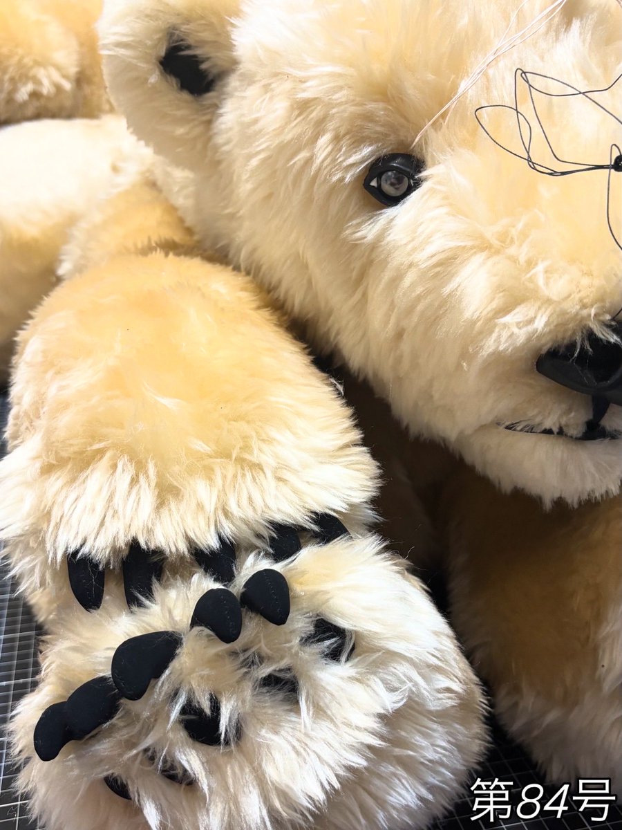 ホッキョクグマぬいぐるみ🐻‍❄️POLARteddyBEARS.jp🧸 tweet media
