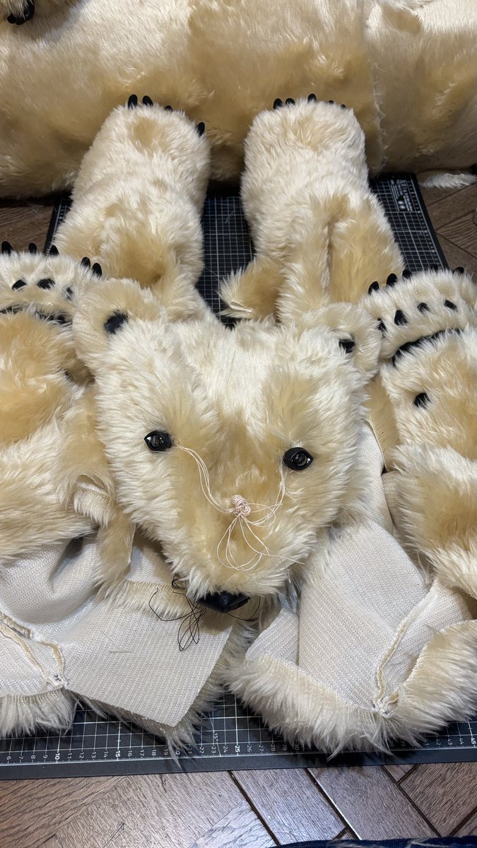 ホッキョクグマぬいぐるみ🐻‍❄️POLARteddyBEARS.jp🧸 tweet media