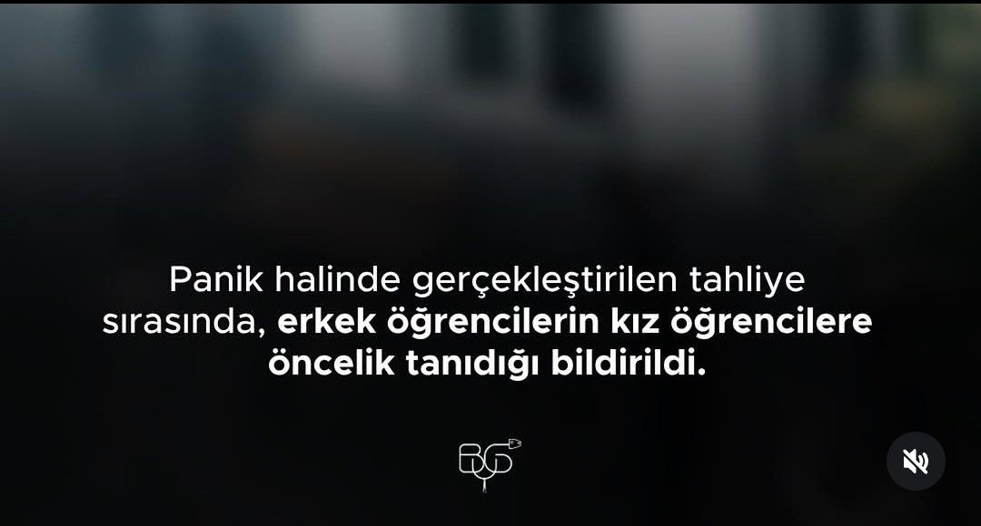 Vera Geoger | tweet media