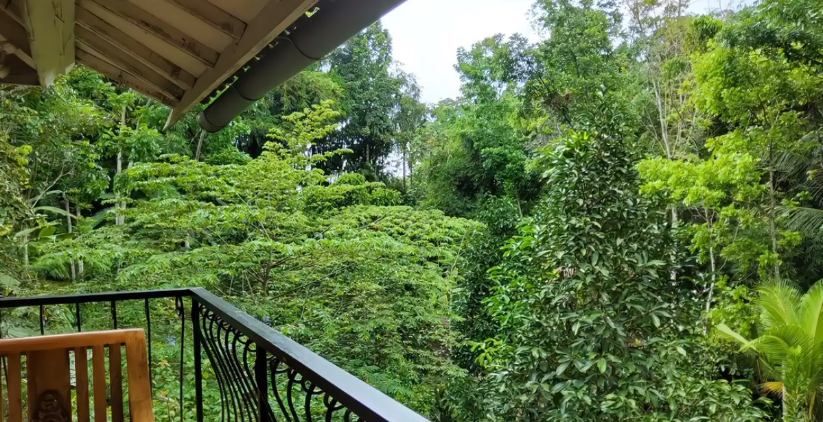 すず 🍅🌱 tweet media