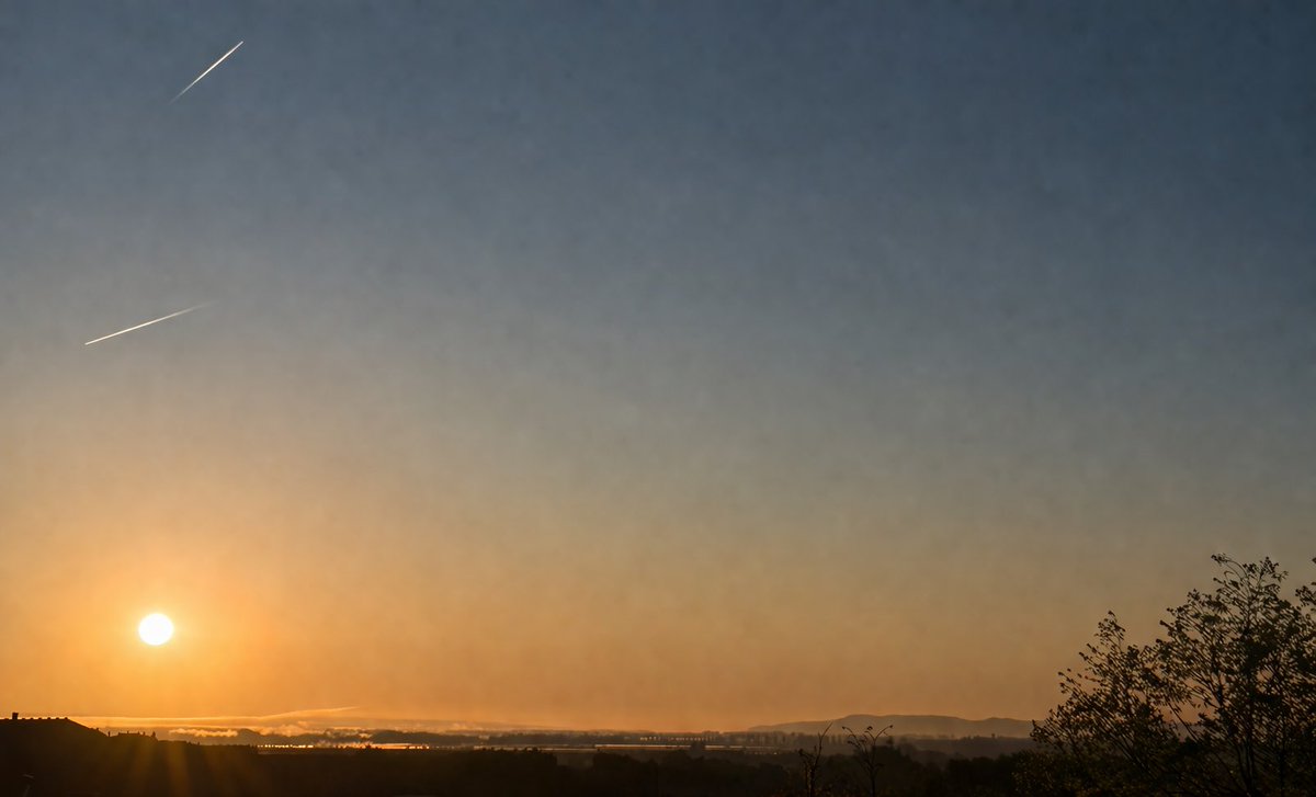 Breverías tweet media