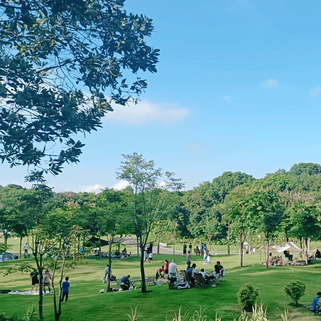 Javier Rueda tweet media