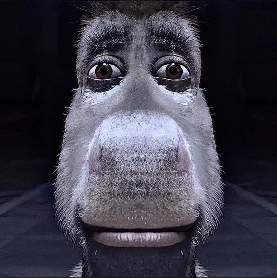 MrPoulpy tweet media