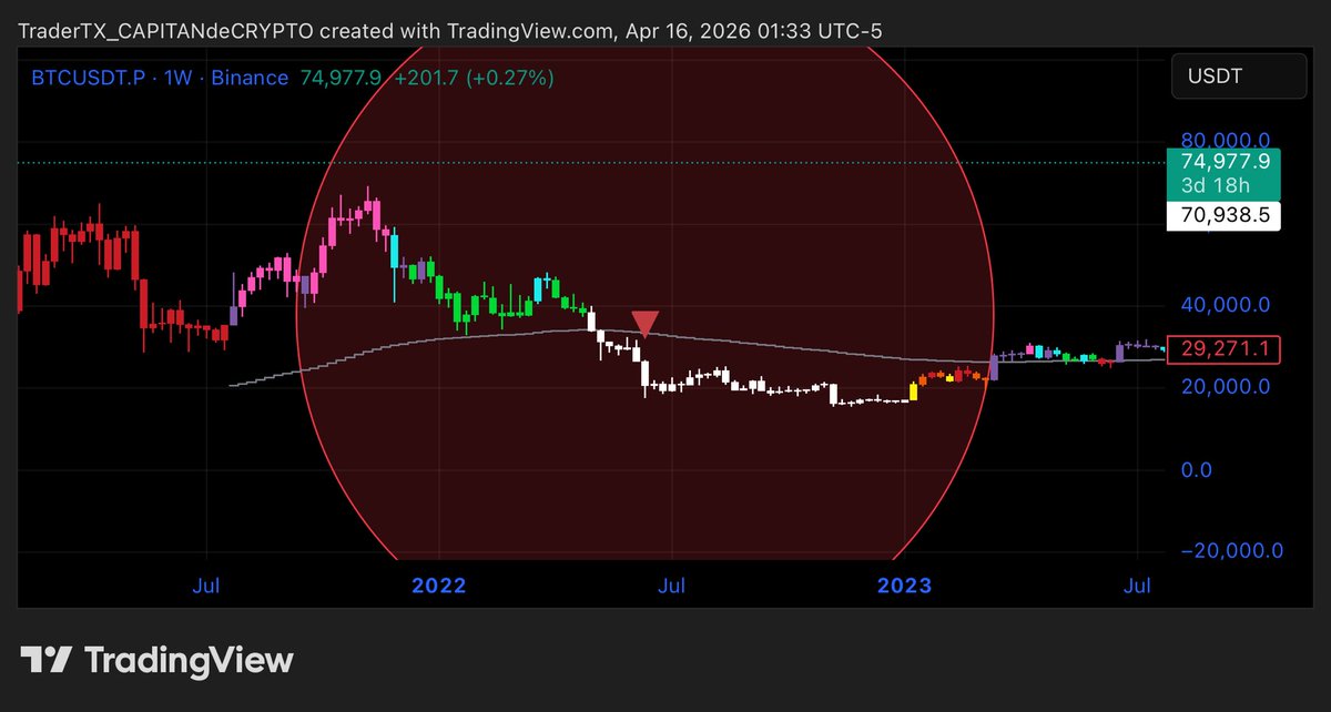 TraderTX tweet media