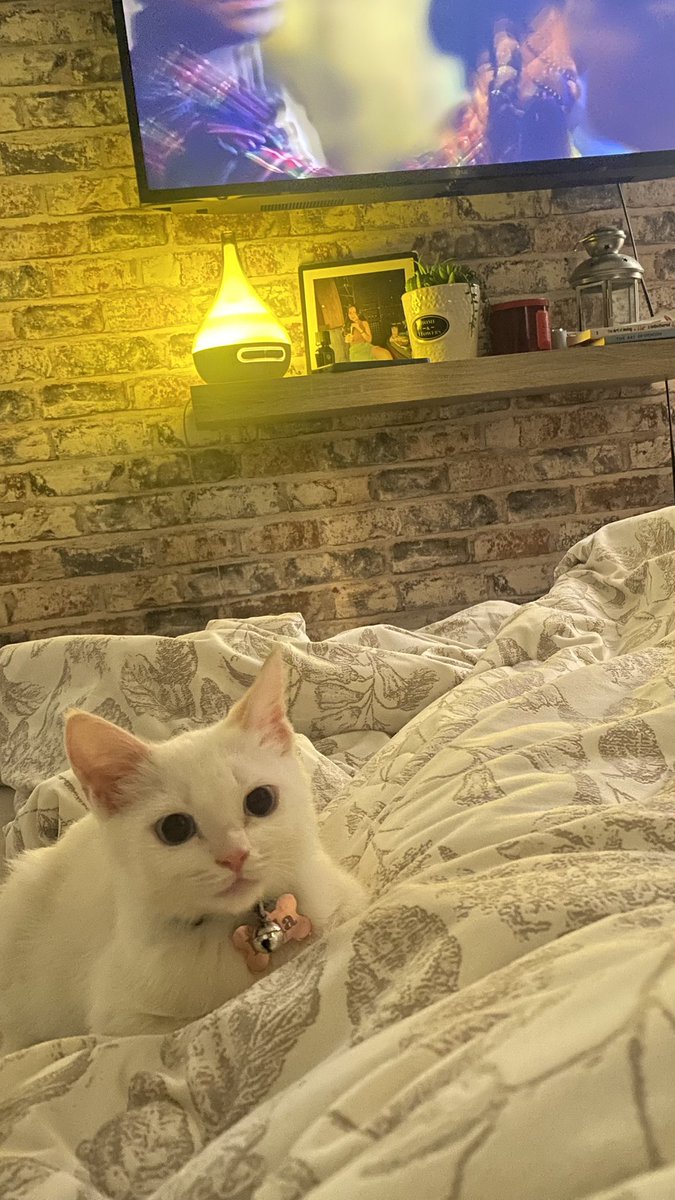 ⋆Miss⋆ tweet media