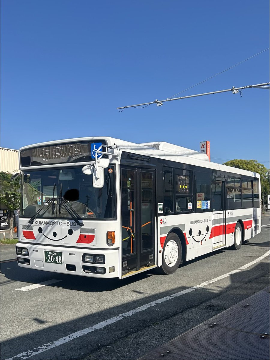 🌱チュリネガチ勢〜chlorobule〜 tweet media