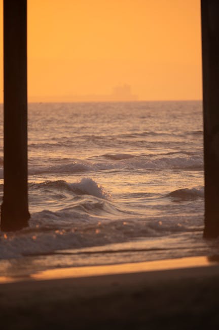 อ้น คลิปหลุดเด็ด(ช่องเดียว) tweet media