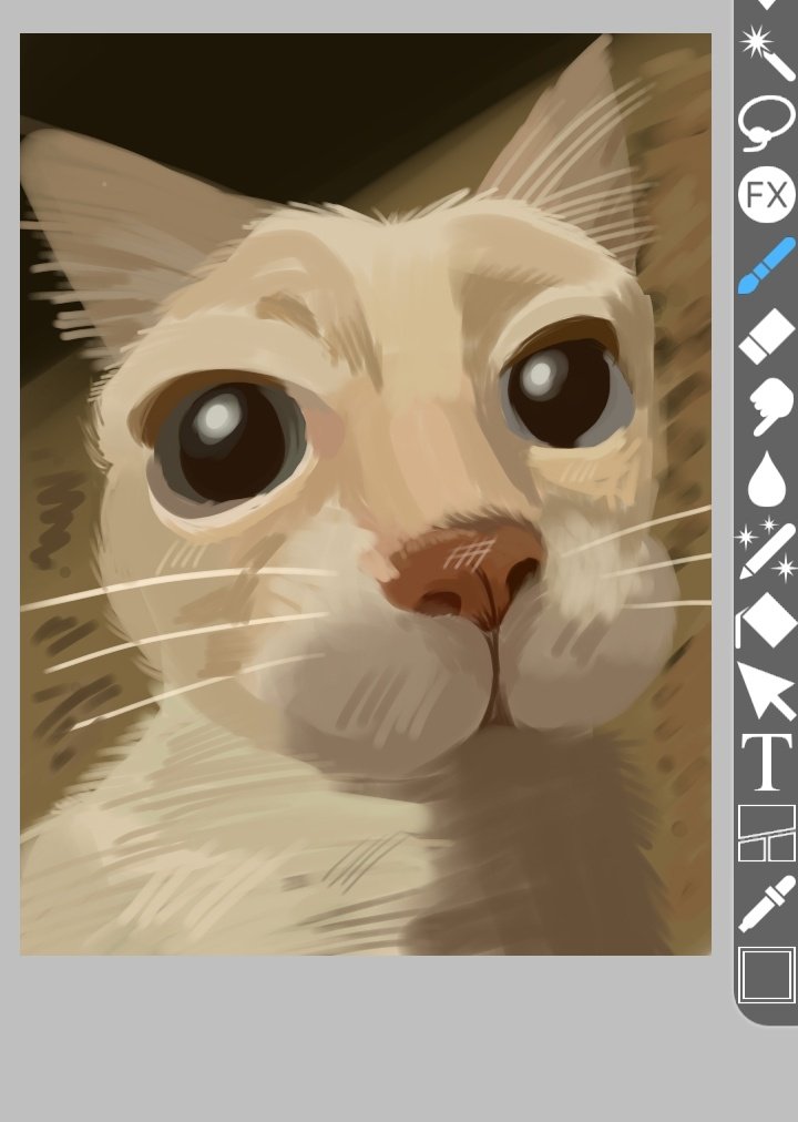 🔞TAKILINE🏳️‍⚧️ tweet media