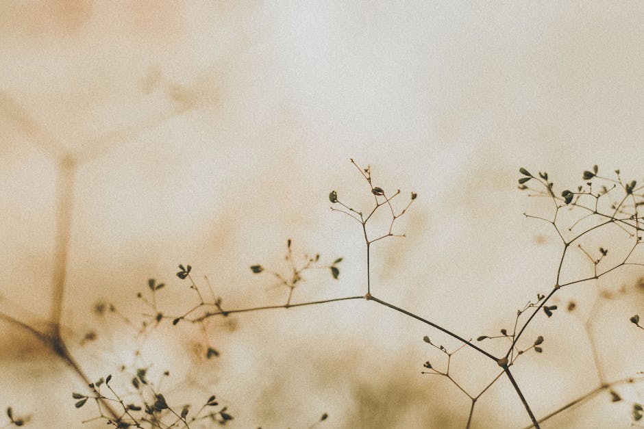 Jeffery Patel tweet media