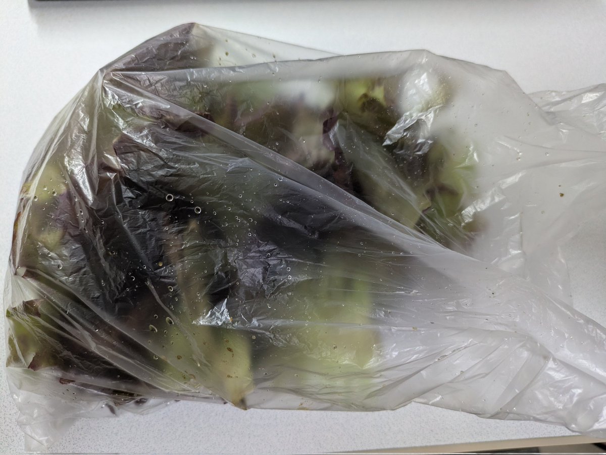 Schrodingers cat tweet media