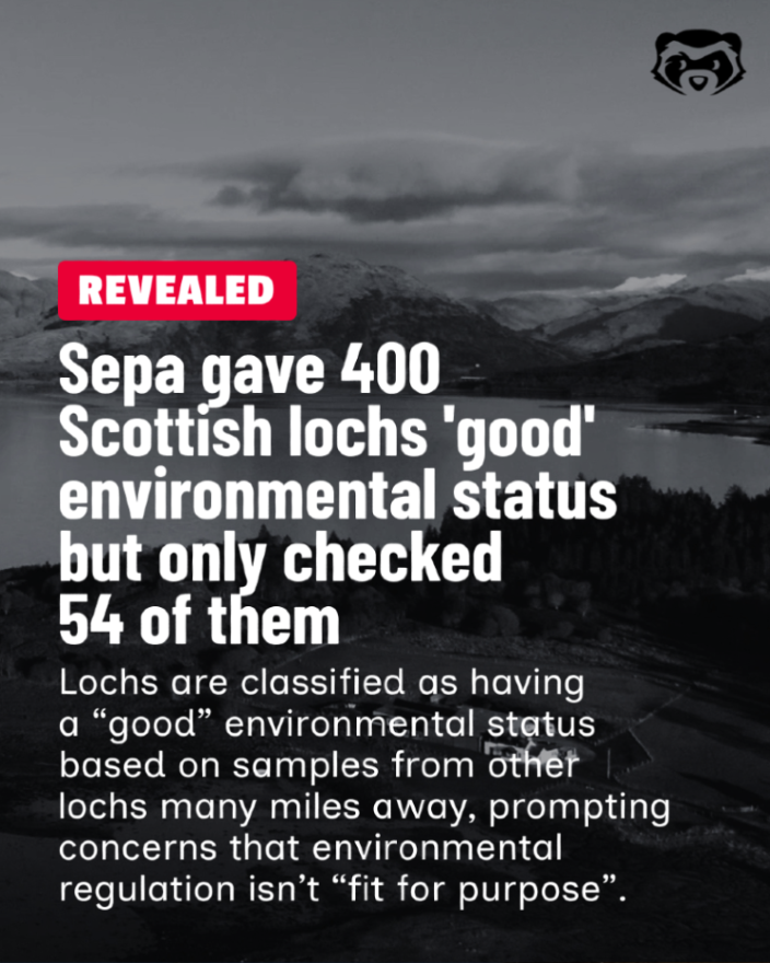 The Ferret tweet media