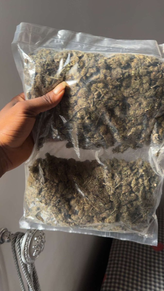 NEMESIS🍃🪵 tweet media