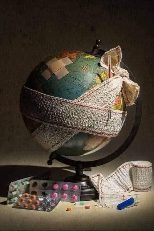 Macide Gür tweet media