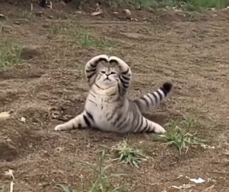 𝘾𝙝𝙖𝙧𝙢ᵕ̈ tweet media