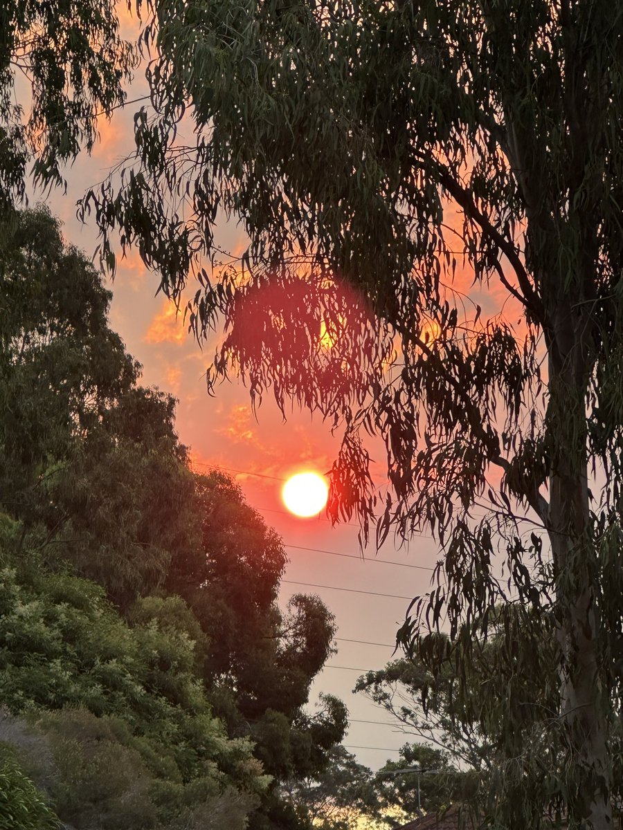 ScottyB63 🇺🇦 tweet media