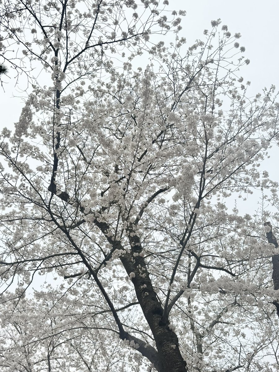 神沼氏じょぉこ tweet media