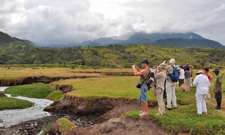 Chalematanzania's tweet image. Discover the wild together, laugh together, and explore together—this is what a 6-day Tanzania family safari is all about.

🌐Visit our website
chalematanzaniasafaris.com/6-days-tanzani…

#TanzaniaSafari #FamilySafari #SafariAdventure #ExploreTanzania #SerengetiSafari #NgorongoroCrater