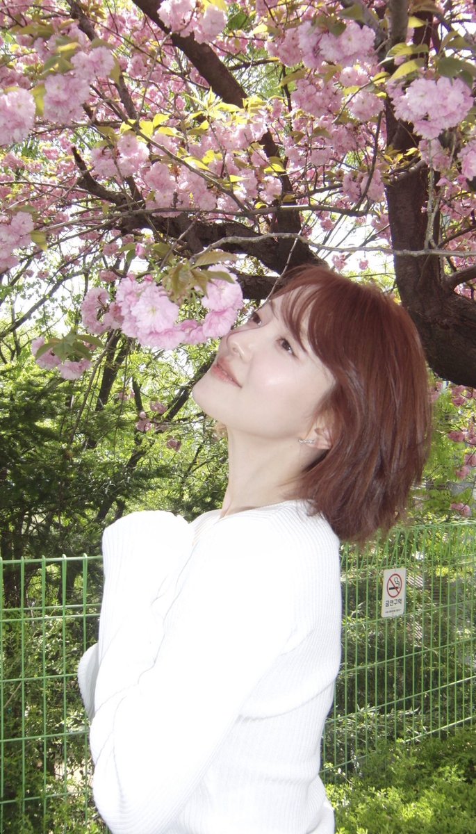 Lee Se Young Content tweet media
