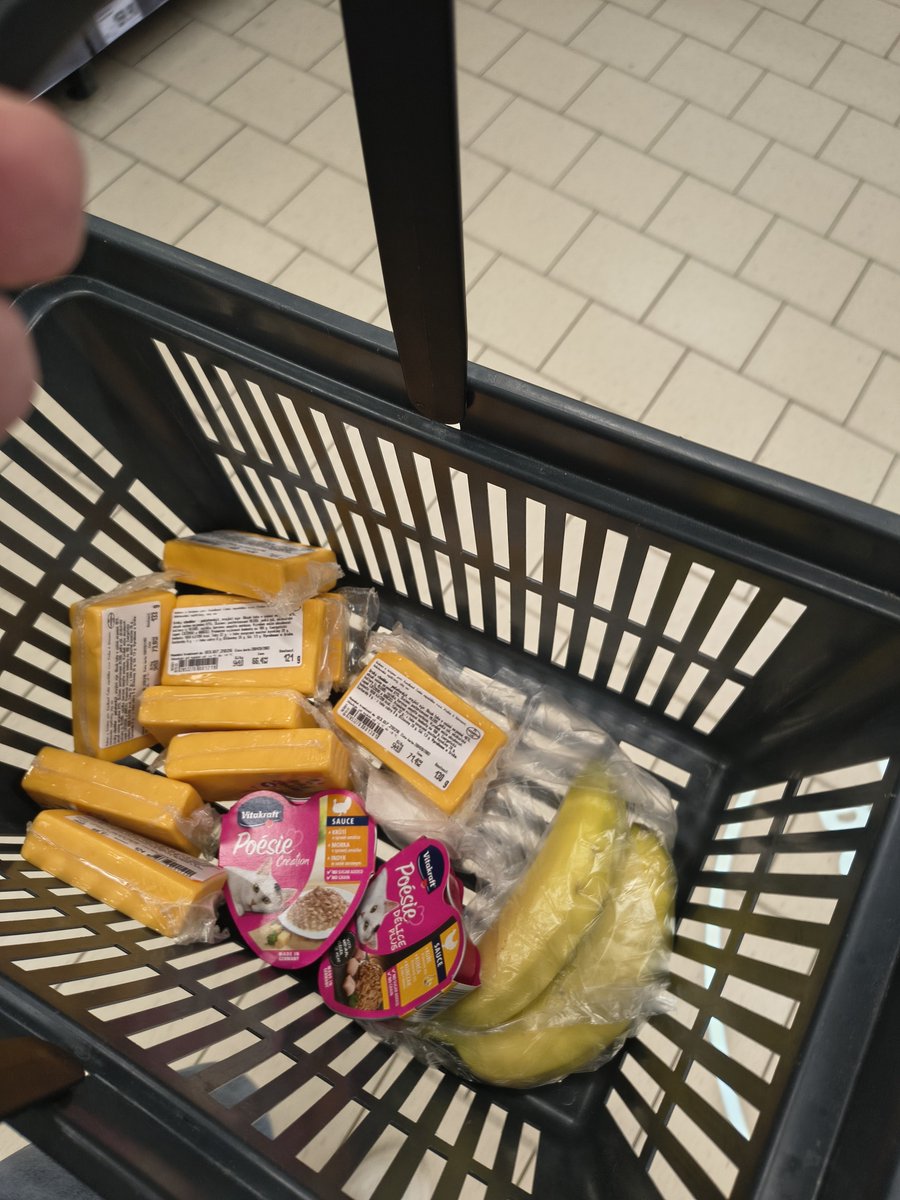 Michael Postulka tweet media