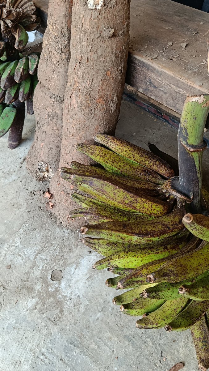 Rallieco tweet media