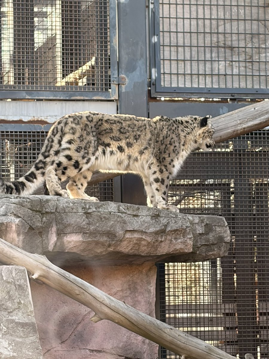 ´⌯ ̫⌯` tweet media